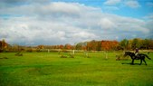 Enlarge photo 39