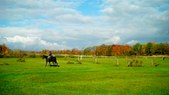 Enlarge photo 40