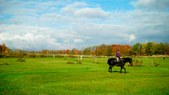 Enlarge photo 43