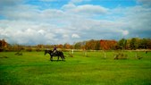 Enlarge photo 44