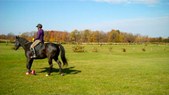 Enlarge photo 13