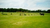 Enlarge photo 74