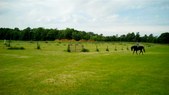 Enlarge photo 75