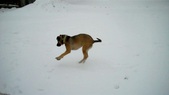 Enlarge photo 31