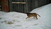 Enlarge photo 9