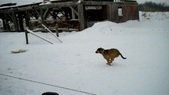 Enlarge photo 14