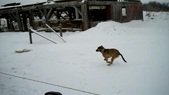 Enlarge photo 15