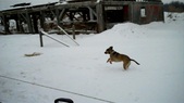 Enlarge photo 16