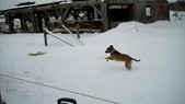 Enlarge photo 17