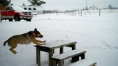 Enlarge photo 21