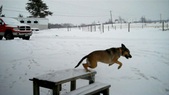 Enlarge photo 22