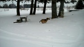Enlarge photo 25