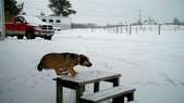 Enlarge photo 30