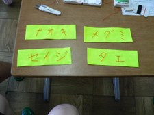 Enlarge photo 24