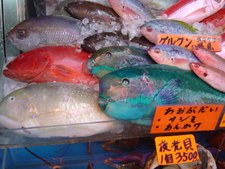Enlarge photo 41