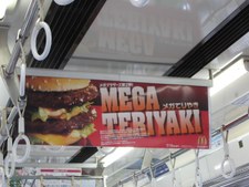 Enlarge photo 31