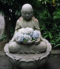 Enlarge photo 39