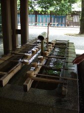 Enlarge photo 23