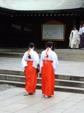 Enlarge photo 34