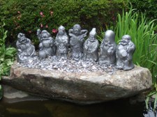 Enlarge photo 43