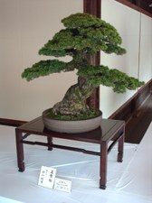 Enlarge photo 15