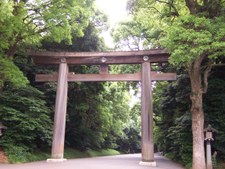 Enlarge photo 84