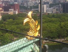 Enlarge photo 58