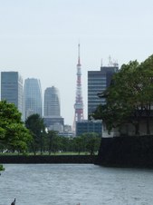 Enlarge photo 120