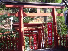 Enlarge photo 82