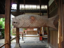 Enlarge photo 41