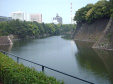 Enlarge photo 85