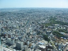 Enlarge photo 91