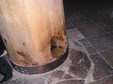Enlarge photo 52