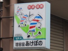 Enlarge photo 20