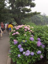 Enlarge photo 19