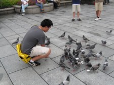 Enlarge photo 16