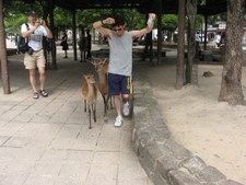 Enlarge photo 20