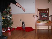 Enlarge photo 31