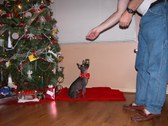 Enlarge photo 32
