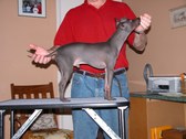 Enlarge photo 41