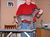 Enlarge photo 43