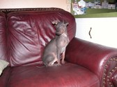 Enlarge photo 46
