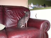 Enlarge photo 48
