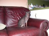 Enlarge photo 49