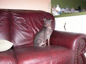 Enlarge photo 50