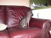 Enlarge photo 51