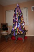 Enlarge photo 55