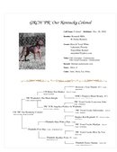 Enlarge Microsoft Word Document 93