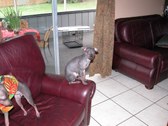 Enlarge photo 72