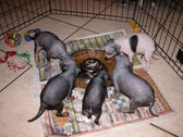 Enlarge photo 11